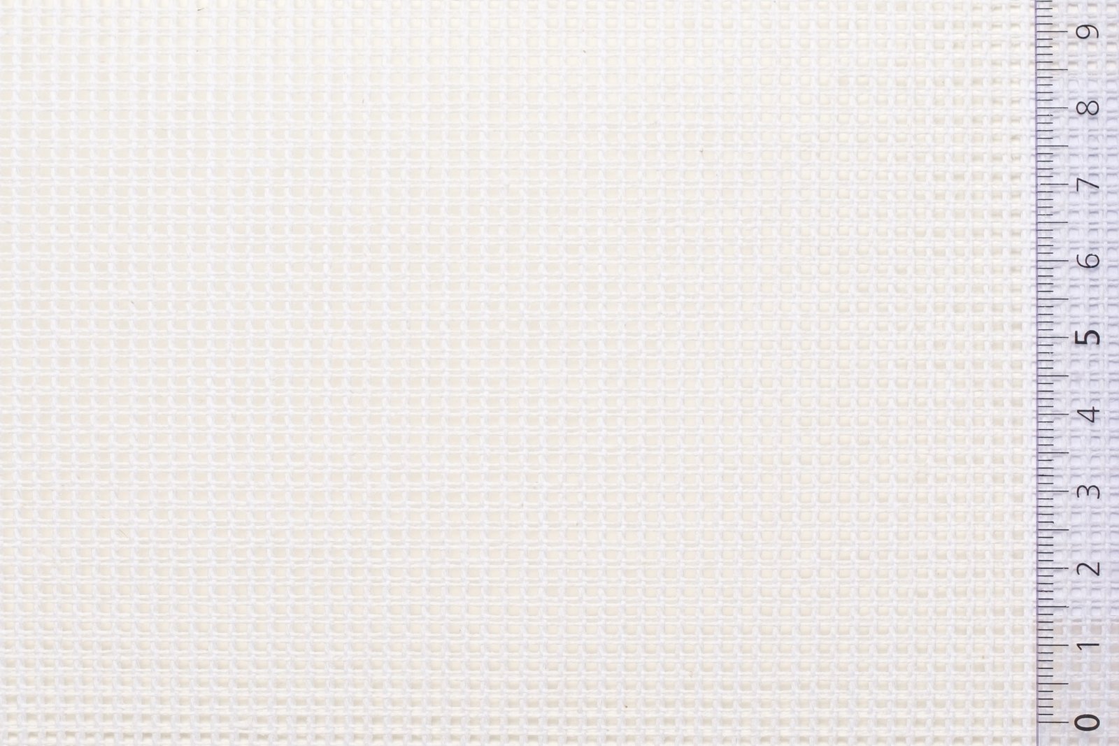 01CANTAP40WHIxxxCOT[CANVAS 40 TAPESTRY(No5)](WHITE)F